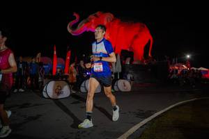 BIB: 
                            <button type="button" onclick="openModal(26551912)" class="btn btn-primary btn-sm float-right btn-popup" data-toggle="modal" data-target=".modal-high-quality">
                        <i class="fas fa-shopping-cart"></i> Add to Cart
                    </button>
                                            <button type="button" onclick="isThisMe(26551912, true)" class="btn btn-success btn-sm float-right btn-popup btn-isme hidden" data-toggle="tooltip" data-placement="bottom" title="นี่คือรูปของคุณใช่ไหม คลิกที่นี่เพื่อเอาเข้าอัลบั้ม">
                        <i class="fas fa-plus"></i> Add to album
                    </button>
                    <button type="button" onclick="isThisMe(26551912, false)" class="btn btn-warning btn-sm float-right btn-popup btn-isnotme hidden">
                        <i class="fas fa-ban"></i> Remove from album
                    </button>